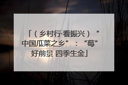 （乡村行·看振兴）“中国瓜菜之乡”：“莓”好前景 四季生金
