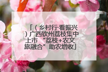 （乡村行·看振兴）广西钦州荔枝集中上市 “荔枝+农文旅融合”助农增收