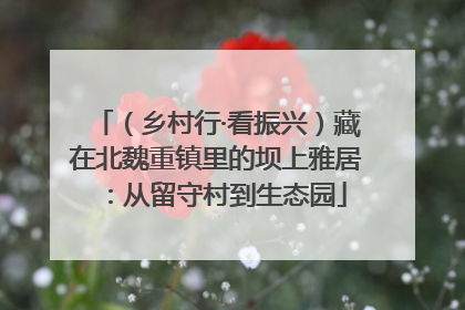 （乡村行·看振兴）藏在北魏重镇里的坝上雅居：从留守村到生态园