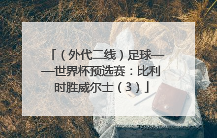 （外代二线）足球——世界杯预选赛：比利时胜威尔士（3）