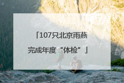 107只北京雨燕完成年度“体检”