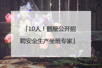 10人！鹤壁公开招聘安全生产坐班专家