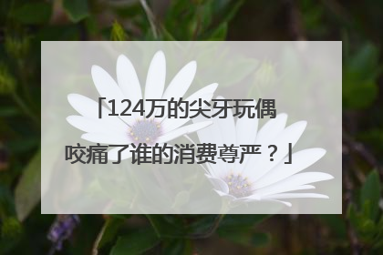 124万的尖牙玩偶 咬痛了谁的消费尊严？