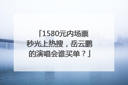 1580元内场票秒光上热搜，岳云鹏的演唱会谁买单？
