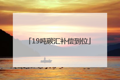 19吨碳汇补偿到位