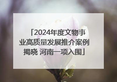 2024年度文物事业高质量发展推介案例揭晓 河南一项入围