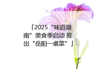2025“味道湖南”美食季启动 推出“岳阳一桌菜”