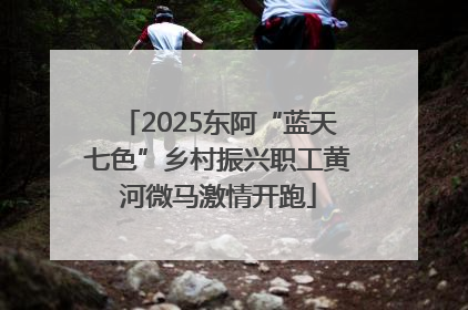 2025东阿“蓝天七色”乡村振兴职工黄河微马激情开跑