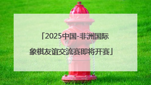 2025中国-非洲国际象棋友谊交流赛即将开赛