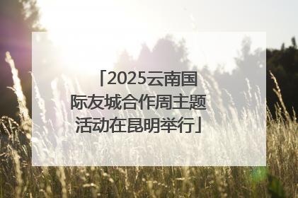 2025云南国际友城合作周主题活动在昆明举行