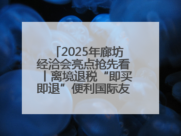 2025年廊坊经洽会亮点抢先看丨离境退税“即买即退”便利国际友人“买买买”