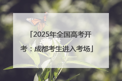 2025年全国高考开考：成都考生进入考场