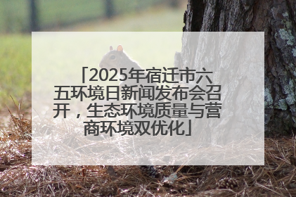 2025年宿迁市六五环境日新闻发布会召开，生态环境质量与营商环境双优化