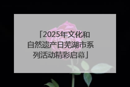 2025年文化和自然遗产日芜湖市系列活动精彩启幕