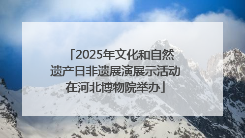 2025年文化和自然遗产日非遗展演展示活动在河北博物院举办