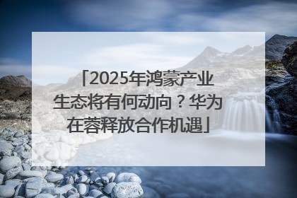 2025年鸿蒙产业生态将有何动向？华为在蓉释放合作机遇