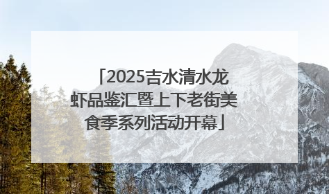 2025吉水清水龙虾品鉴汇暨上下老街美食季系列活动开幕