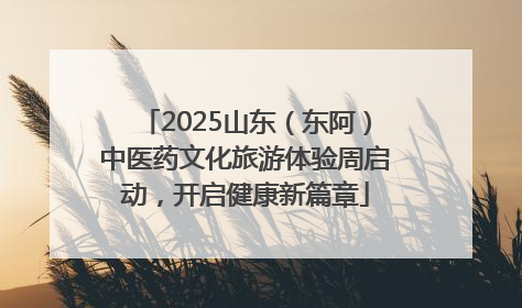 2025山东（东阿）中医药文化旅游体验周启动，开启健康新篇章