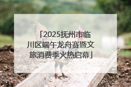 2025抚州市临川区端午龙舟赛暨文旅消费季火热启幕