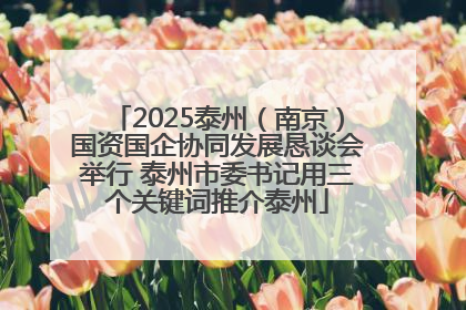 2025泰州（南京）国资国企协同发展恳谈会举行 泰州市委书记用三个关键词推介泰州