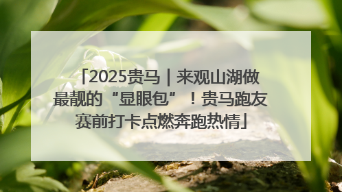 2025贵马｜来观山湖做最靓的“显眼包”！贵马跑友赛前打卡点燃奔跑热情
