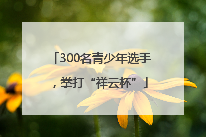 300名青少年选手，拳打“祥云杯”