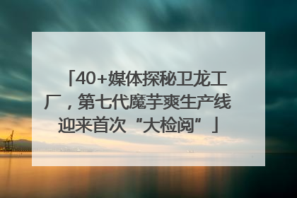 40+媒体探秘卫龙工厂，第七代魔芋爽生产线迎来首次“大检阅”