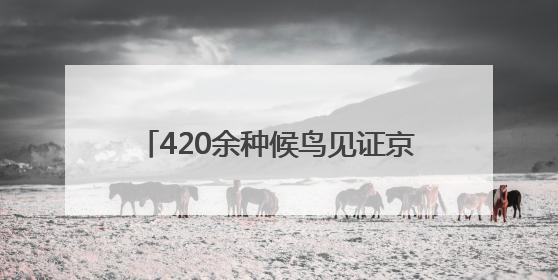 420余种候鸟见证京津冀协同保护绿色之道