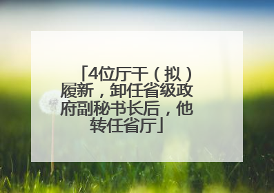 4位厅干（拟）履新，卸任省级政府副秘书长后，他转任省厅