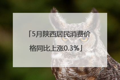 5月陕西居民消费价格同比上涨0.3%