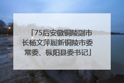 75后安徽铜陵副市长杨文萍履新铜陵市委常委、枞阳县委书记