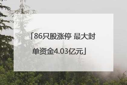 86只股涨停 最大封单资金4.03亿元
