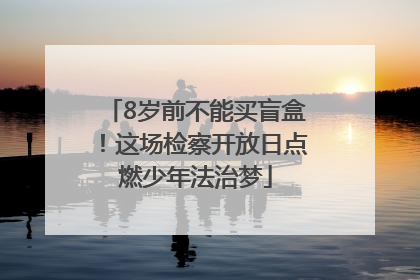 8岁前不能买盲盒！这场检察开放日点燃少年法治梦