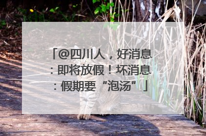 @四川人，好消息：即将放假！坏消息：假期要“泡汤”