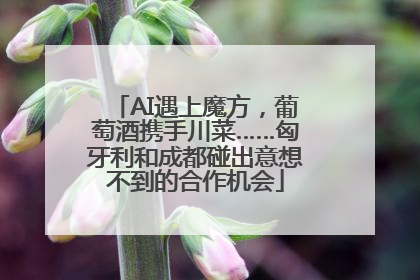 AI遇上魔方，葡萄酒携手川菜……匈牙利和成都碰出意想不到的合作机会