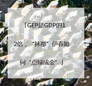 GEP是GDP的12倍，“林都”伊春如何“点绿成金”