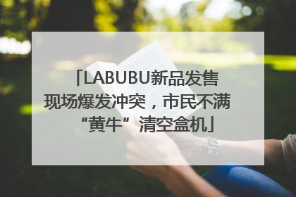 LABUBU新品发售现场爆发冲突，市民不满“黄牛”清空盒机