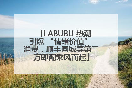 LABUBU 热潮引爆 “情绪价值” 消费，顺丰同城等第三方即配乘风而起
