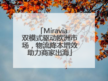 Miravia双模式驱动欧洲市场，物流降本增效助力商家出海