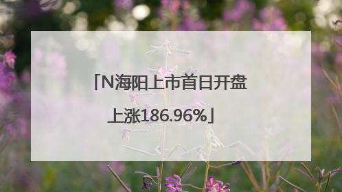N海阳上市首日开盘上涨186.96%