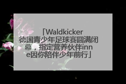 Waldkicker德国青少年足球赛圆满闭幕，指定营养伙伴inne因你陪伴少年前行